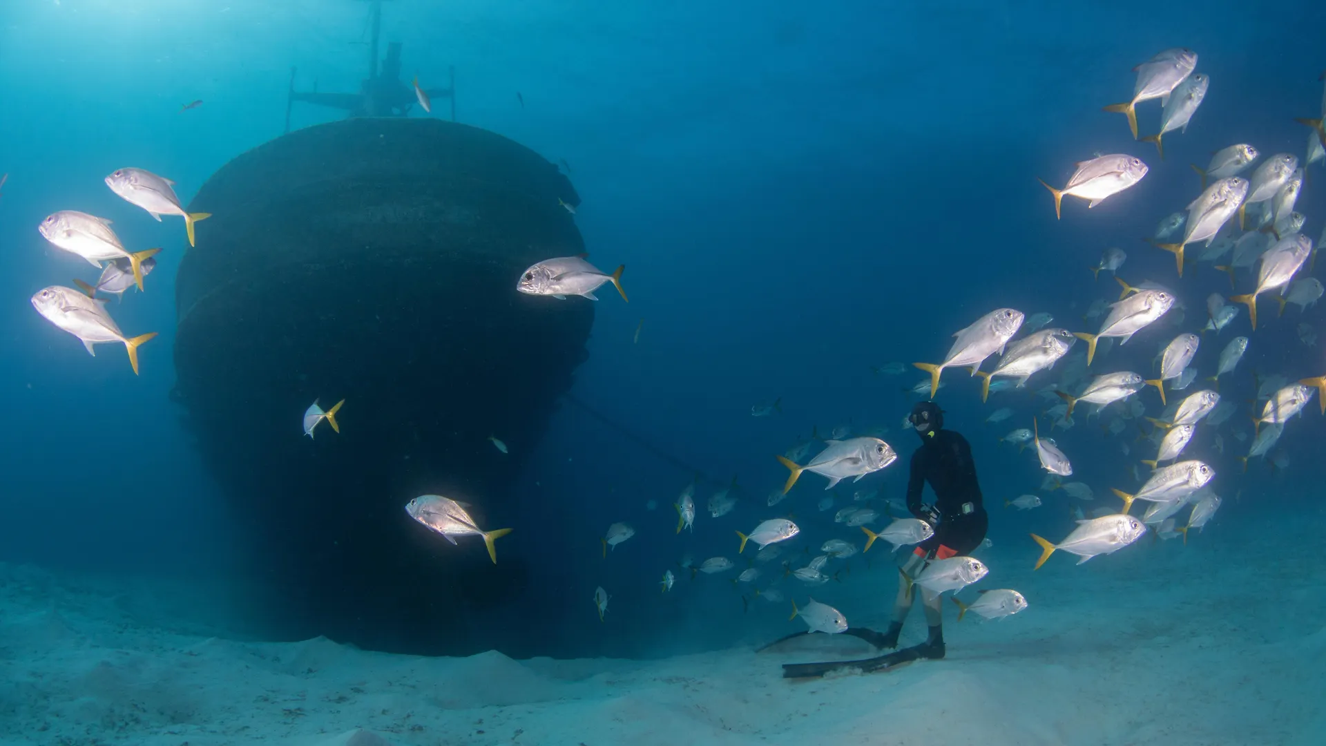 Holiday Inn Resort Grand Cayman By Ihg (Adults Only) West Bay